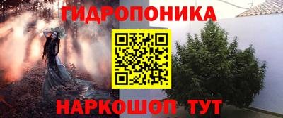 амф Краснознаменск