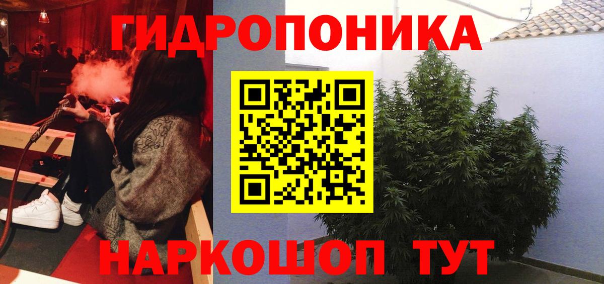 Заволжье  Конопля тримм  Вход с VPN  Бошки Шишки LSD WEED  Каннабис индика 