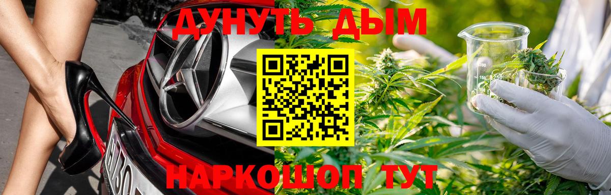 Каннабис индика Заволжье